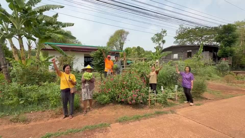 🏡 พช.โพนนาแก้ว เดินหน้าขับเคลื่อนนโยบาย “Quick Win” 90 วัน สร้างความมั่นคงทางอาหาร สู้วิกฤตด้วยวิถีพอเพียง 🍆🍅🥬(broccoli)(banana)(plant)